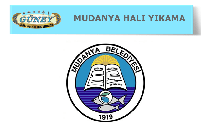 mudanya halı yıkama